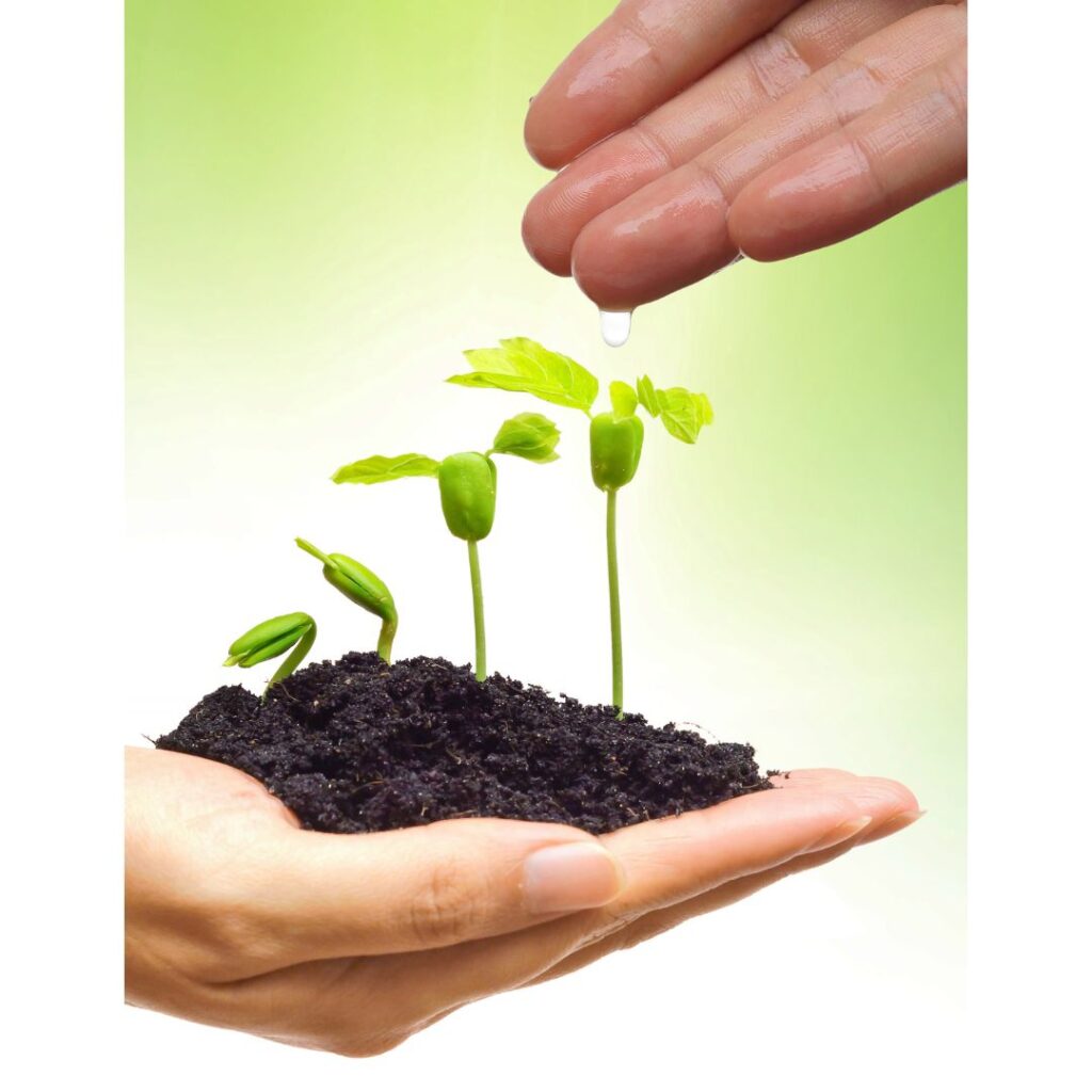 automação para cultivo indoor