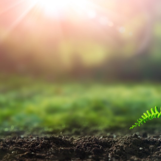 automação para cultivo indoor