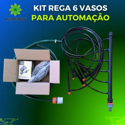 KIT REGA 6 VASOS